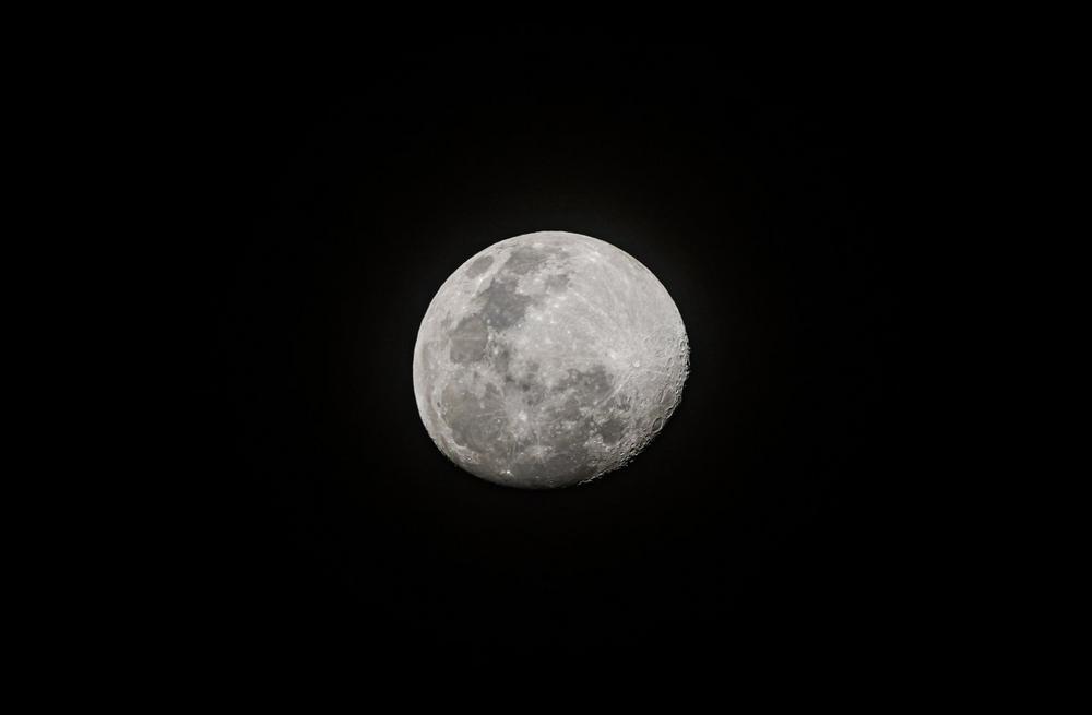Land Hadeln/Wanna/Ahlenmoor: Vollmondwanderung: Das Ahlenmoor bei Nacht erleben