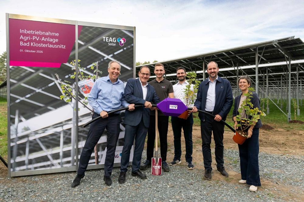 Doppelte Ernte mit Heidelbeeren und Sonnenstrom – TEAG Solar nimmt Thüringens größte Agri-PV-Anlage in Betrieb