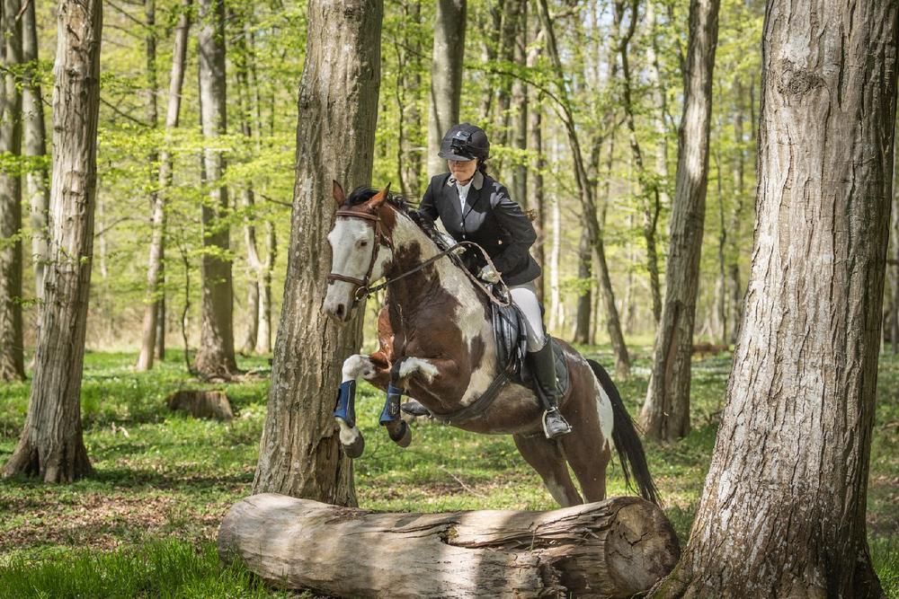 Hinter schnellen Hunden: Erste Schleppjagd in Graal-Müritz am 17. Oktober 2026
